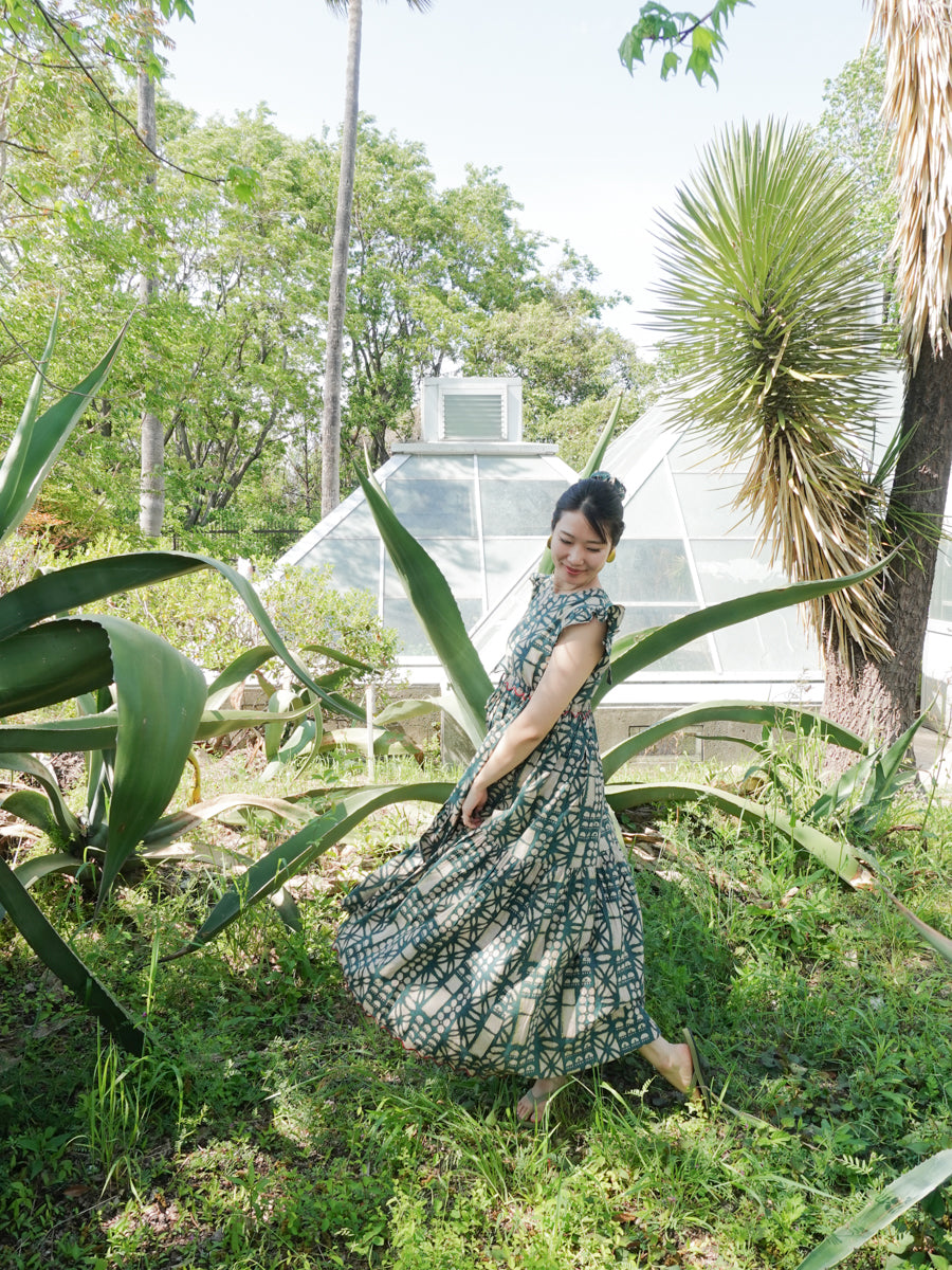 Harita Dress