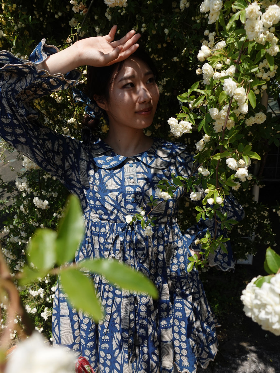 Neela Blouse
